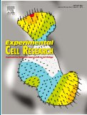 Experimental Cell Research