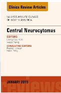 NEUROSURG CLIN N AM 北美神经外科临床